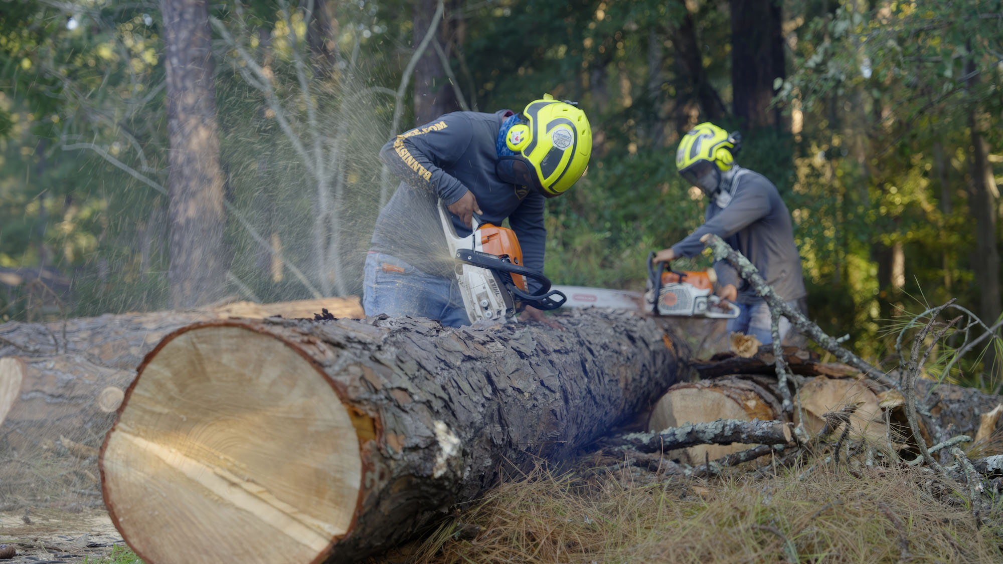 BannisterTreeService Spot2.00 00 00 04.Still001