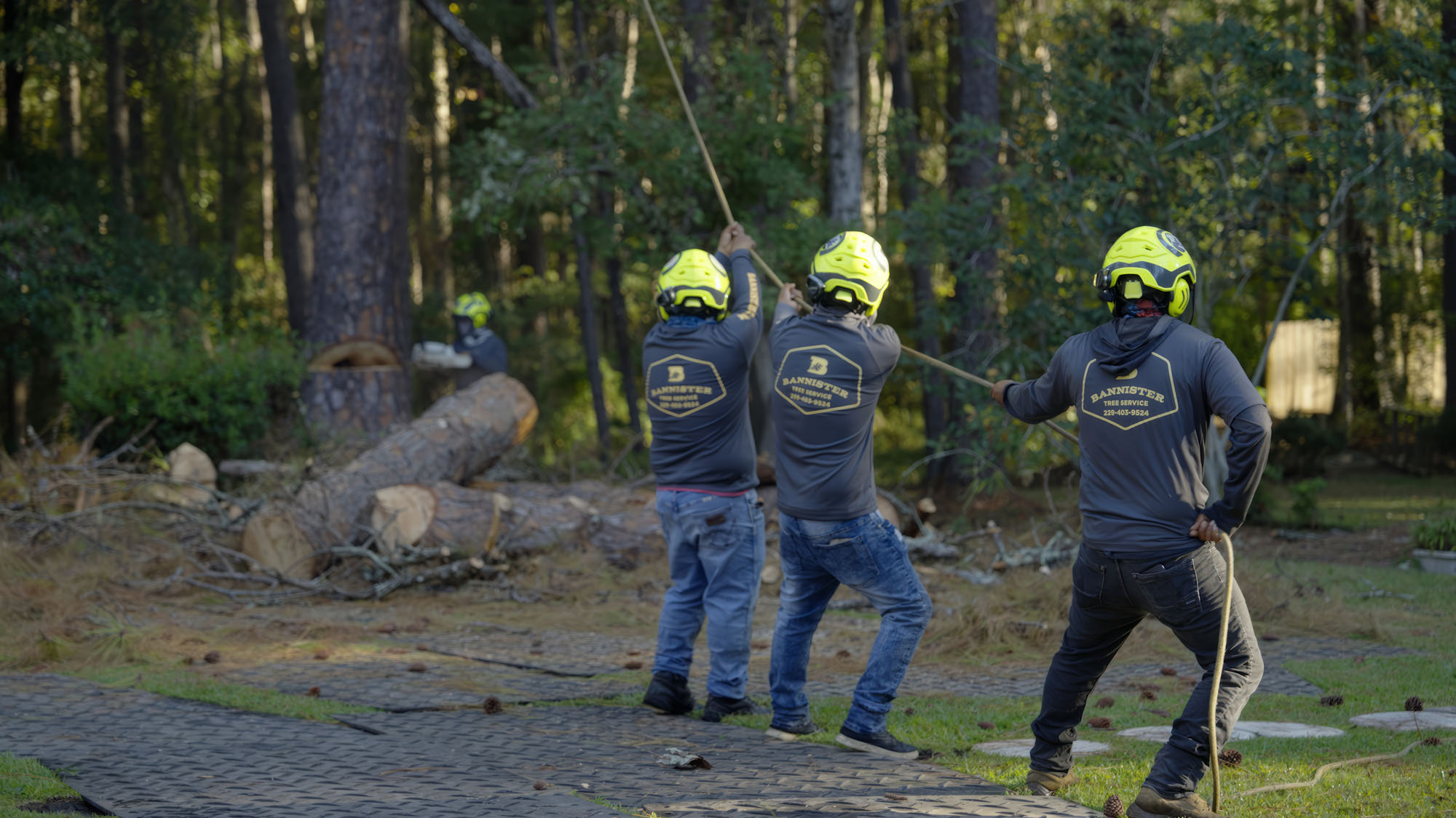 BannisterTreeService Spot2.00 00 35 02.Still003